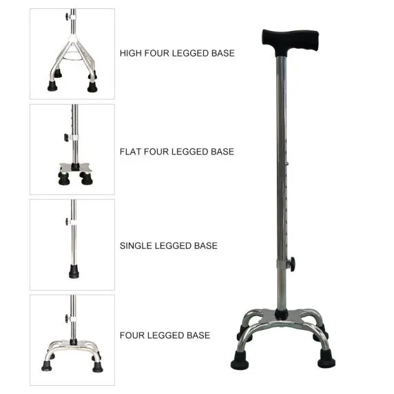 Walking Stick