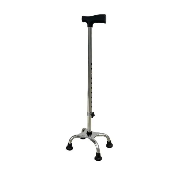 Walking Stick