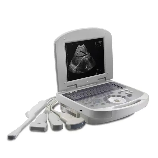 Full Digital Veterinary Ultrasound lmaging