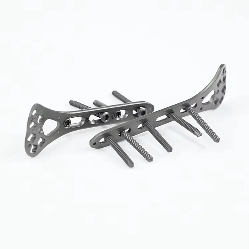 Multi-Axial Distal Radial Volar Locking Plate