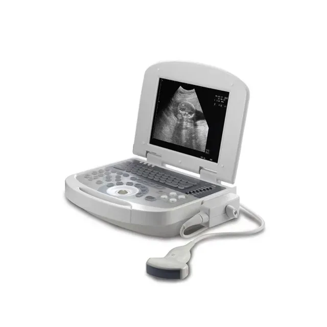 Portable Ultrasonic Diagnostic Devices