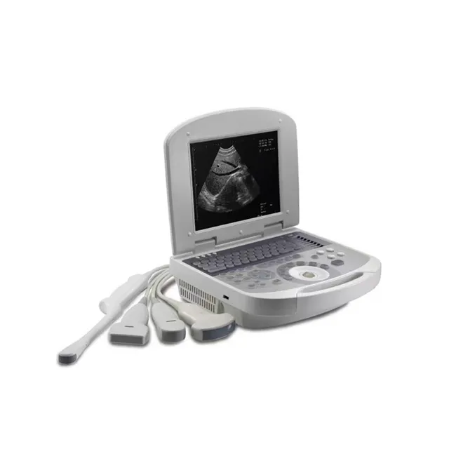 Portable Ultrasonic Diagnostic Devices