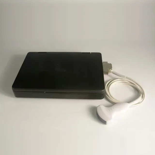Portable Ultrasonic Diagnostic Devices