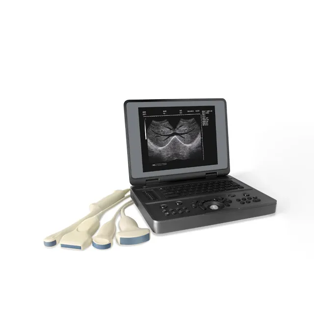 Portable Ultrasonic Diagnostic Devices
