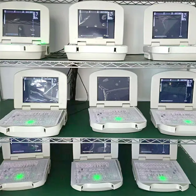 Portable Ultrasonic Diagnostic Devices