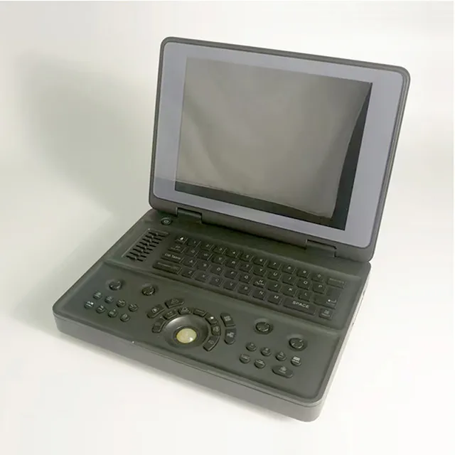 Portable Ultrasonic Diagnostic Devices
