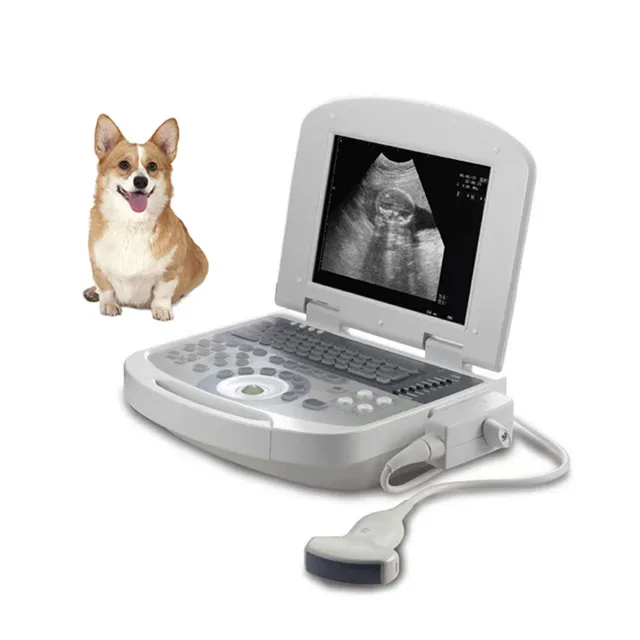 Portable Ultrasonic Diagnostic Devices