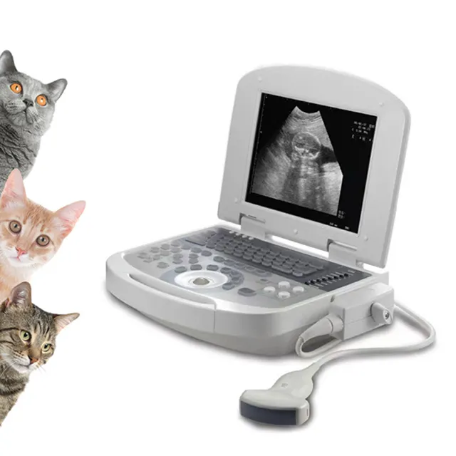 Portable Ultrasonic Diagnostic Devices