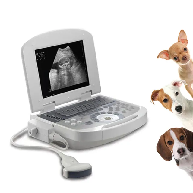 Portable Ultrasonic Diagnostic Devices