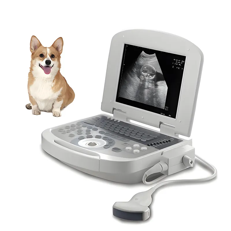 Portable Ultrasonic Diagnostic Devices