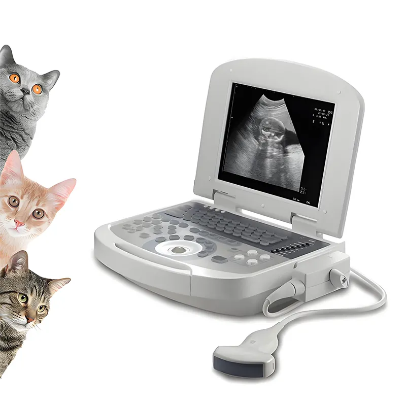 Portable Ultrasonic Diagnostic Devices