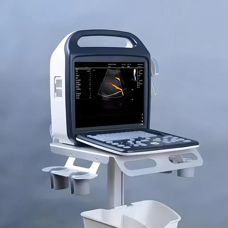Portable Ultrasonic Diagnostic Devices