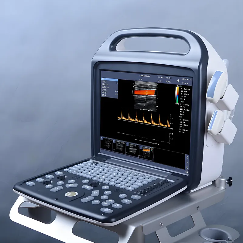Portable Ultrasonic Diagnostic Devices