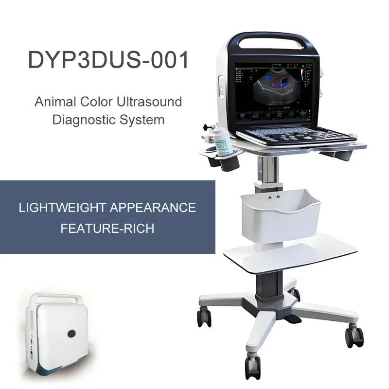 Portable Ultrasonic Diagnostic Devices