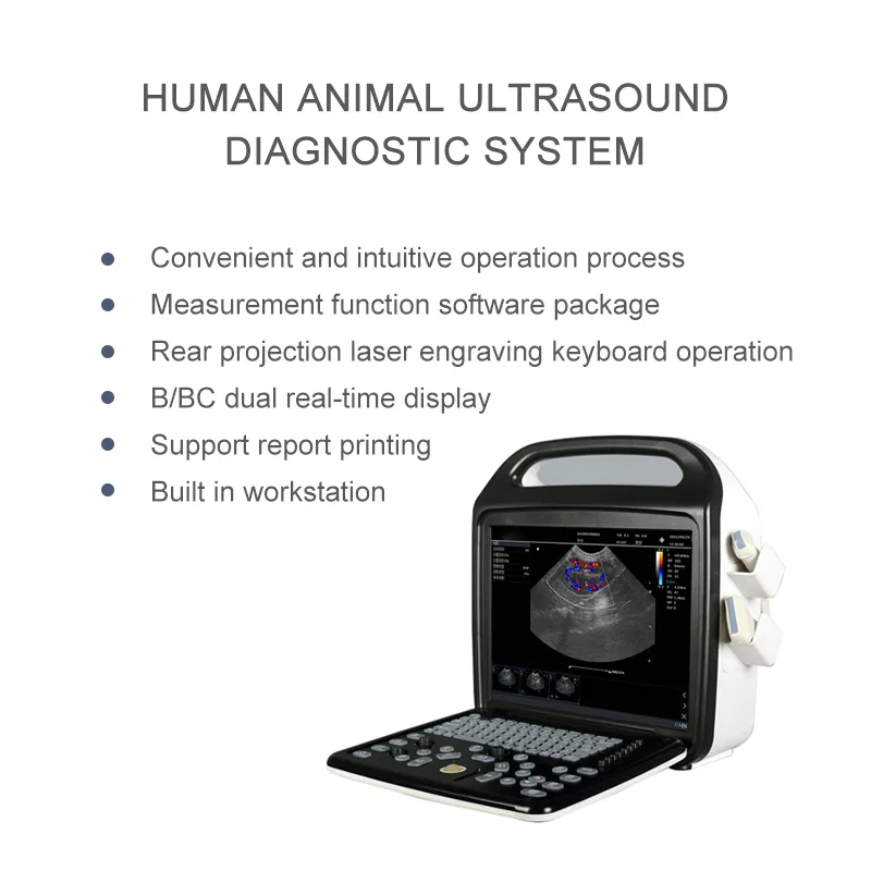 Portable Ultrasonic Diagnostic Devices