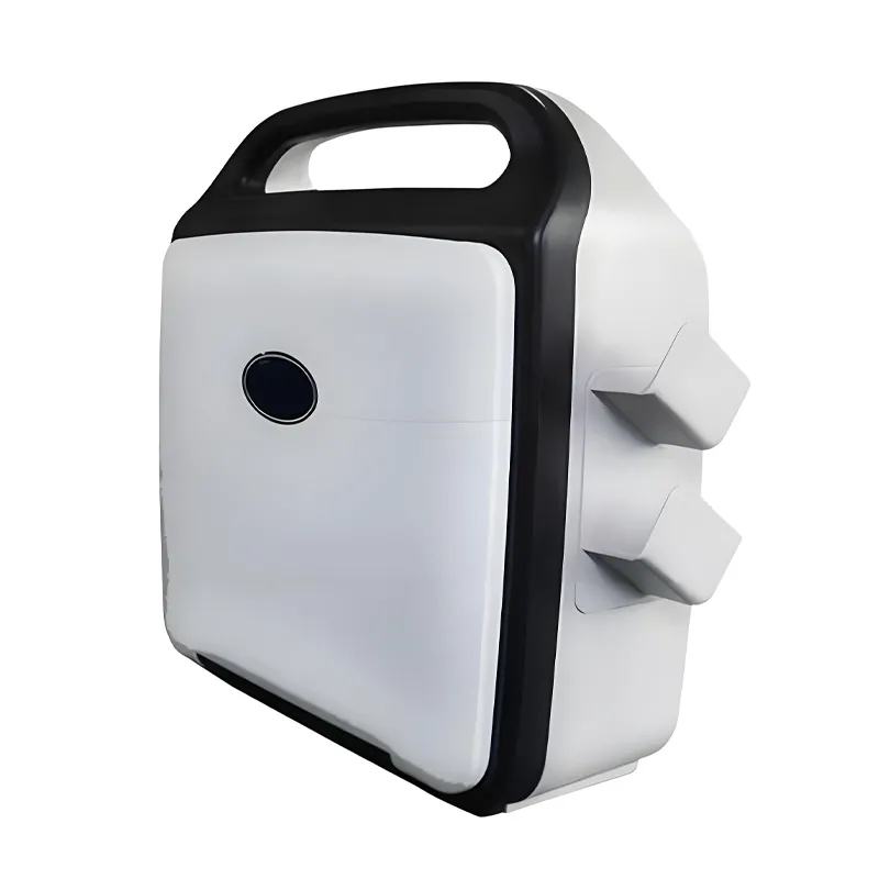 Portable Ultrasonic Diagnostic Devices