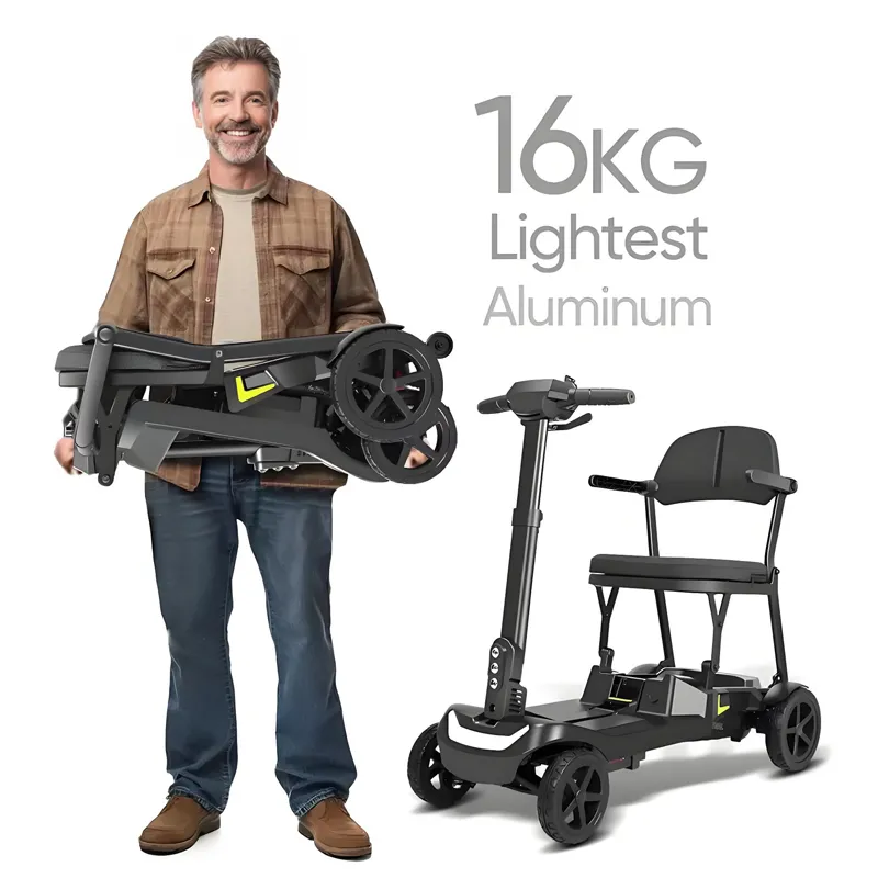 Dual-lithium battery electric four-wheeled scooter