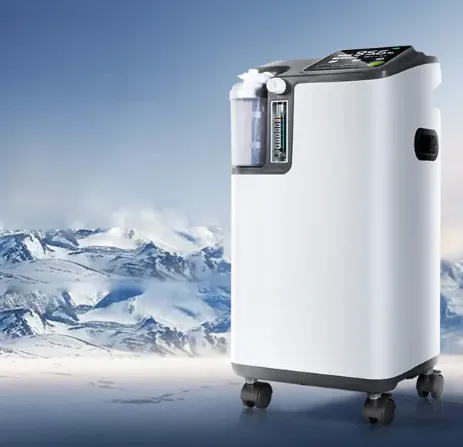 Portable Oxygen Concentrators with Continuous Flow: A Complete Buyer's Guide
