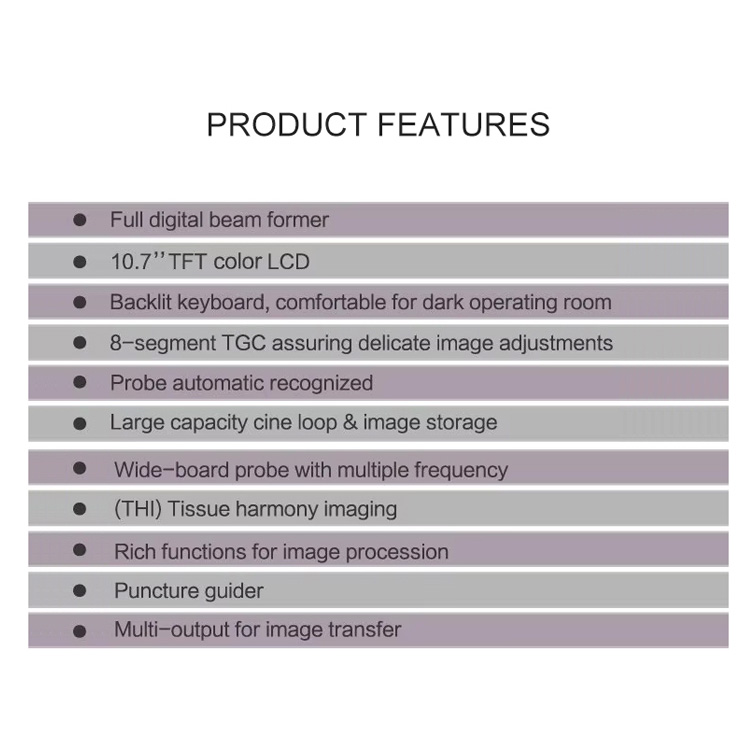 Portable Ultrasonic Diagnostic Devices